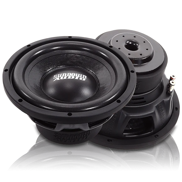 LCS 10" 300W RMS Subwoofer